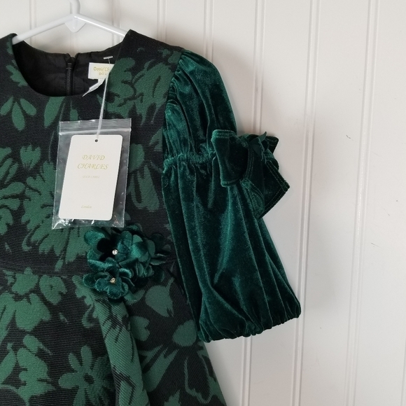 David Charles Girls 2 YRS Green Brocade Dress Jacquard Special Occasion Holiday - Picture 2 of 15